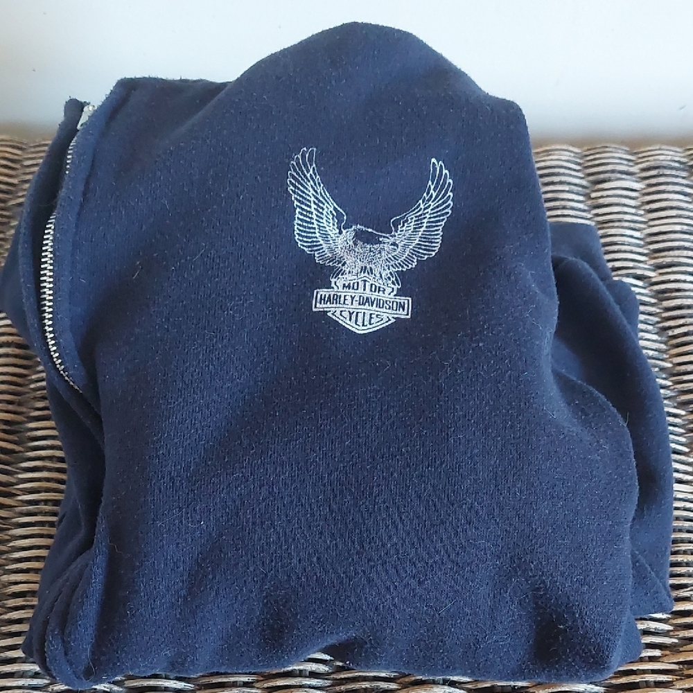 Vintage Sportswear Hoody